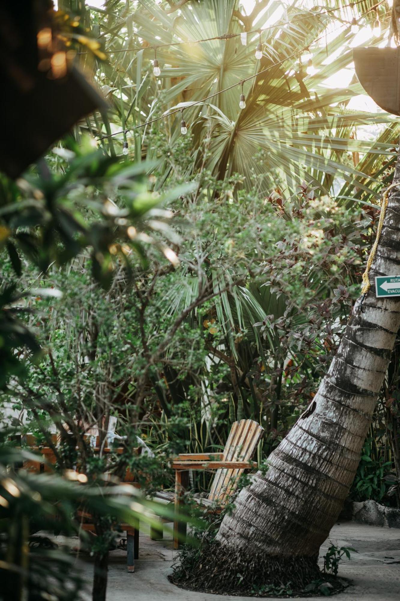 Hostel Oryx Tulum Exterior photo